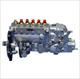 Fuel Injection Pump